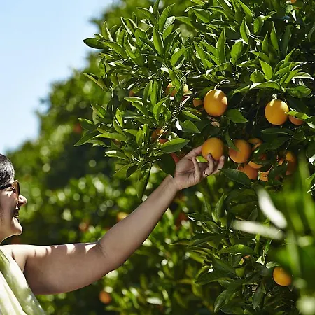 Quinta Dos Perfumes Тавира