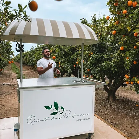 Quinta Dos Perfumes タヴィラ