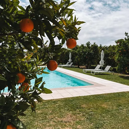 ファームステイ Quinta Dos Perfumes タヴィラ